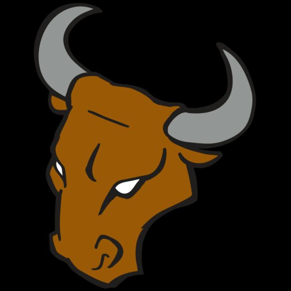 AR BULL 28 RC Thumbnail