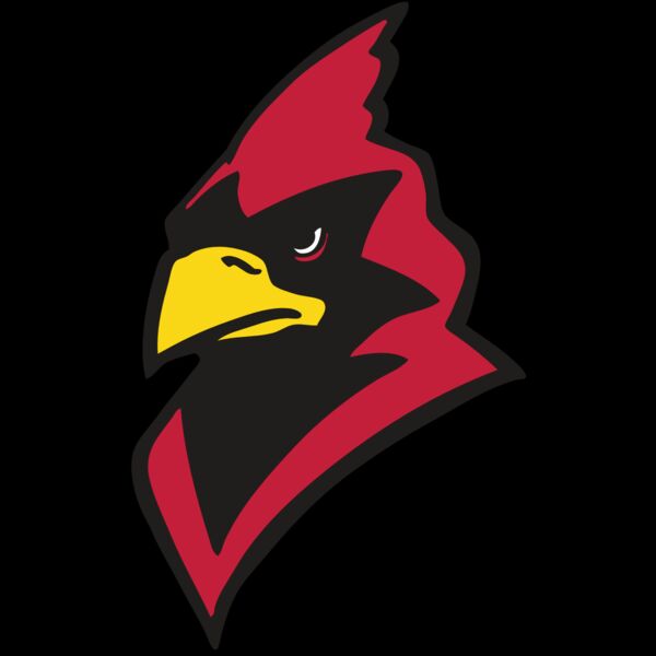 AR CARDINAL 22 RC Thumbnail