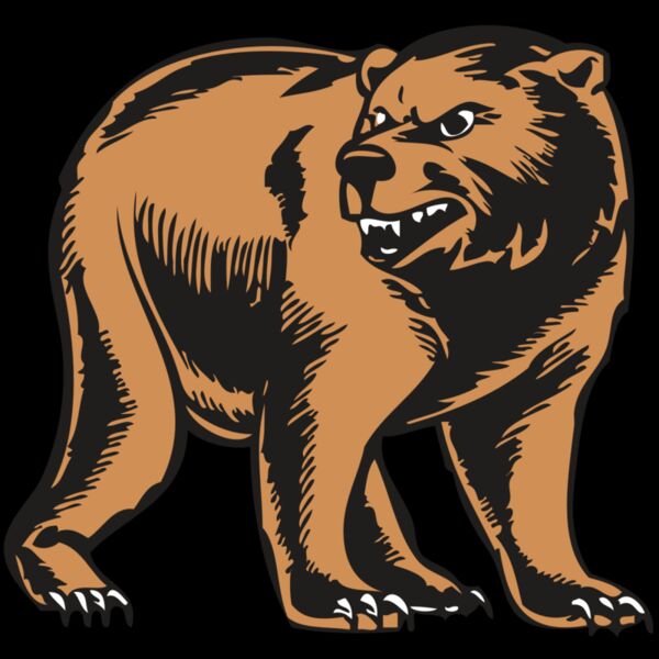 BAW BEAR 09 RC Thumbnail