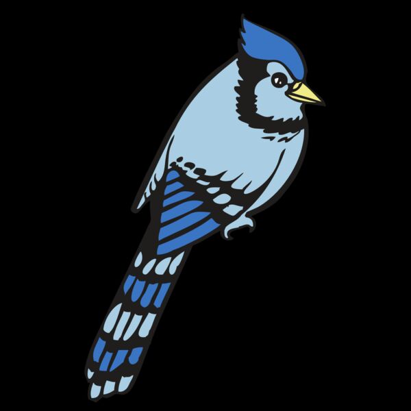 BAW BLUEJAY 08 RC Thumbnail