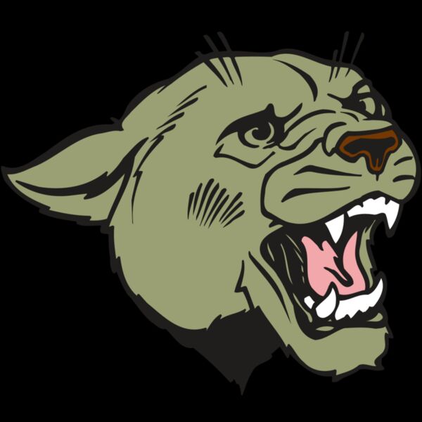 AR COUGAR 40 RC Thumbnail