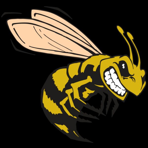 AR BEE 50 RC Thumbnail