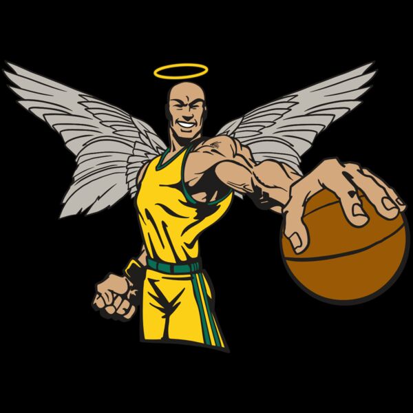 AR17 ANGEL BSKT 06 RQC Thumbnail