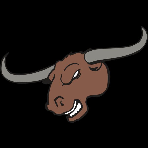 AR BULL 10 RC Thumbnail