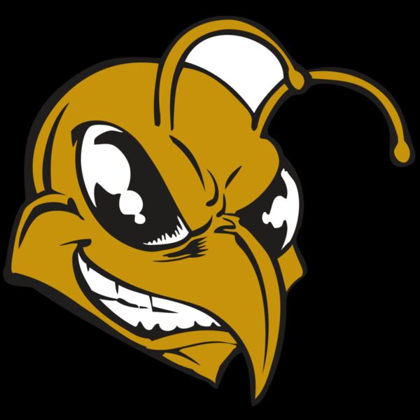 BAW BEE 18 RC Thumbnail