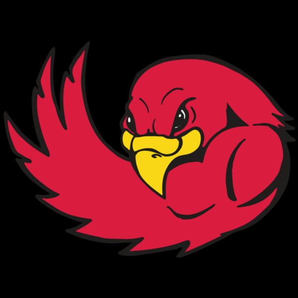 AR FALCON 18 RC Thumbnail