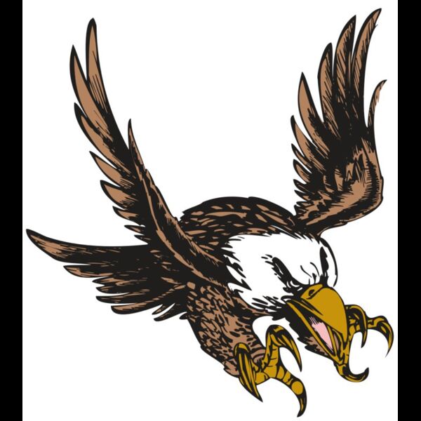 BAW EAG 05 RC Thumbnail