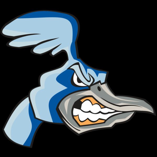 ROADRUNNER HD0503 RQC Thumbnail