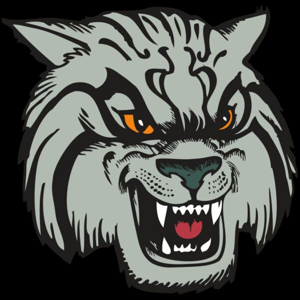 BAW WILDCAT 03 RC Thumbnail